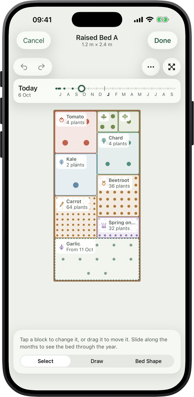 A 1.2 by 2.4 metre raised bed in the planner, with crops laid out in squares and a timeline along the top