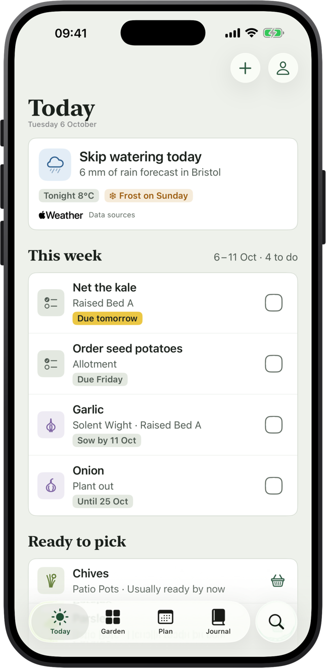 VegLog's Today screen, advising to skip watering because 6 mm of rain is forecast, with this week's jobs and crops ready to pick